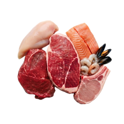 Protein